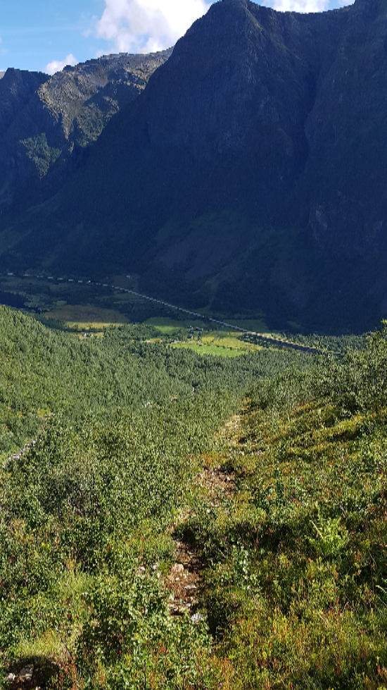Stien opp fra Stølsdalen sett ovenfra. Stølselva sees i venstre billedkant