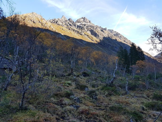 Nordre dalaemannshorn og bakom dette Dalamannshornet (Sætretindane) på østside av dalen