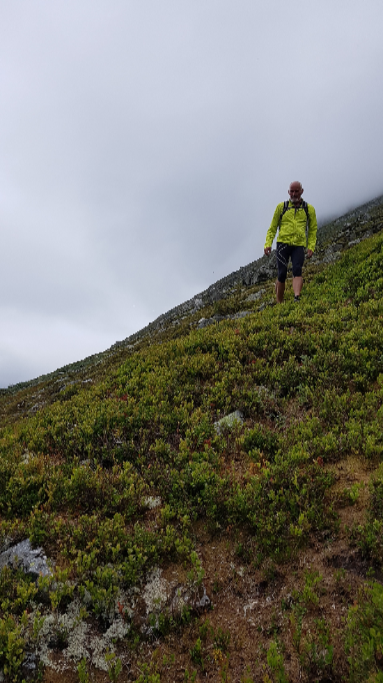 På vei ned fjellesida mot Ulvedalen i lett lyngterreng, men bratt