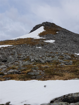 Oppgang til Levandehornet var rett mot toppen til høyre for snøflekken, men siste stykket mot toppen mer mot høyre for å unngå bergknausen helt opp mot toppen
